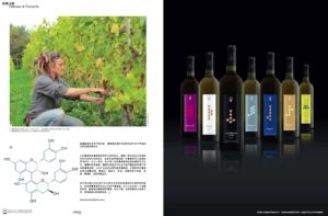 Amazing France 4 eme page